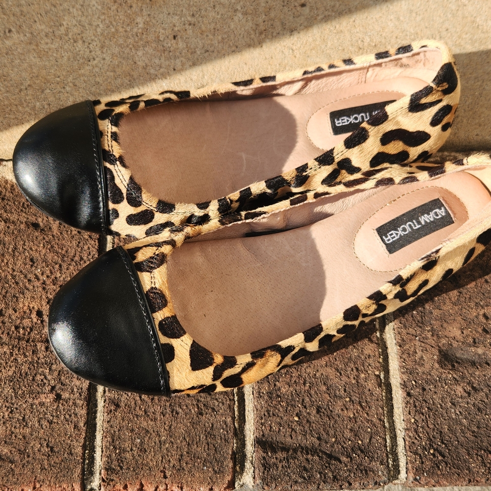Adam Tucker Leopard-Print Flats with Black Cap Toe - Picture 3 of 8